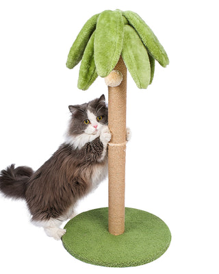 Cat Scratching Post