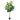 6ft Oak Artificial Tree Rubber Tree