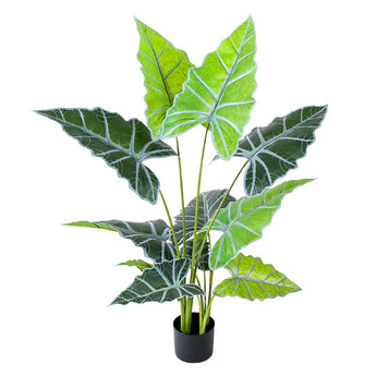 4ft Artificial Alocasia cucullata Plant Monstera Plant