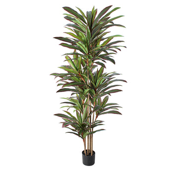 6ft Artificial Dracaena Plant Margined Dracaena