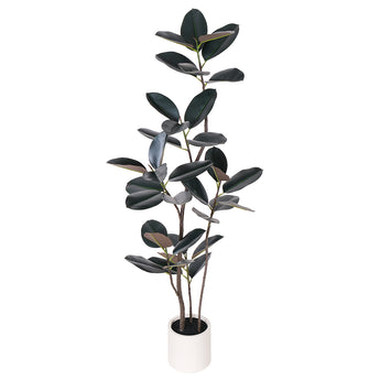 6ft Artificial Rubber Tree Black Leaves