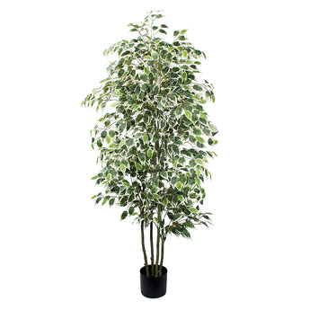 6ft Artificial Ficus Tree