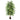 6ft Artificial Ficus Tree