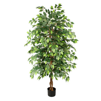 6ft Artificial Ficus Tree