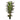 5ft Artificial Dracaena Plant Margined Dracaena