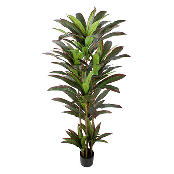 5ft Artificial Dracaena Plant Margined Dracaena