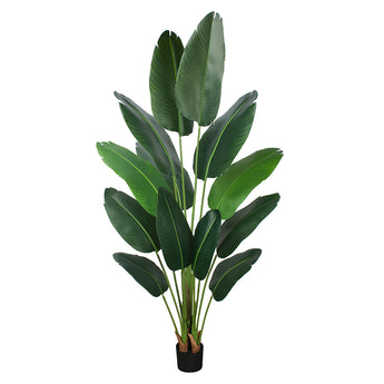 6ft Bird of Paradise artificial banana tree