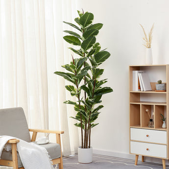 6ft Artificial Rubber tree