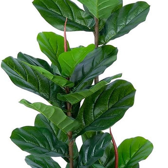 Faux Fiddle Leaf Fig Tree