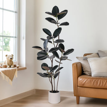 6ft Artificial Rubber Tree Black Leaves