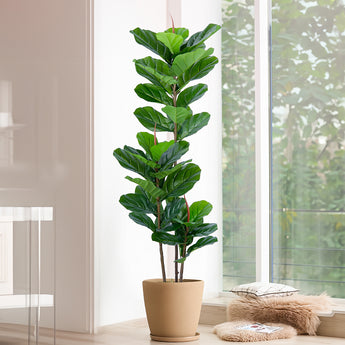 5ft Artificial Fiddle Leaf Fig Tree Ficus Tree