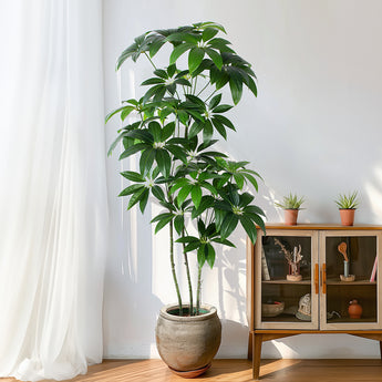 6ft Artificial Money Tree Malabar chestnut Tree