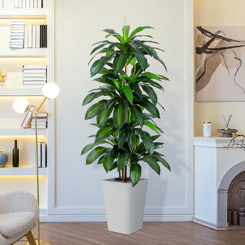 5ft Artificial Dracaena fragrans Tree