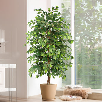 6ft Artificial Ficus Tree