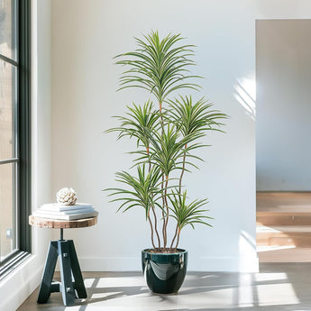 Dracaena Artificial Plant