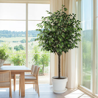 7ft Artificial Ficus Tree