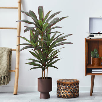 4ft Artificial Dracaena Plant Margined Dracaena