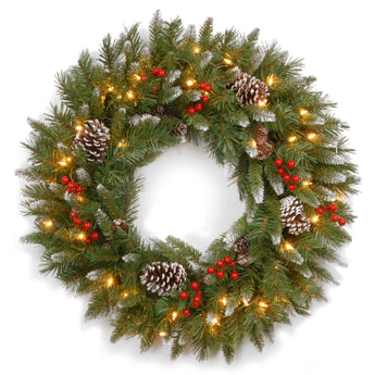 30 in. Pre-Lit Frosted Berry Wreath with Clear Lights