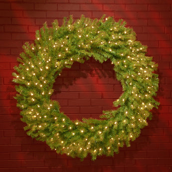 48 in. Pre-Lit Norwood Fir Wreath with Warm White LED Lights