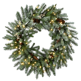 30 in. Pre-Lit Snowy Morgan Spruce Wreath with LED Lights